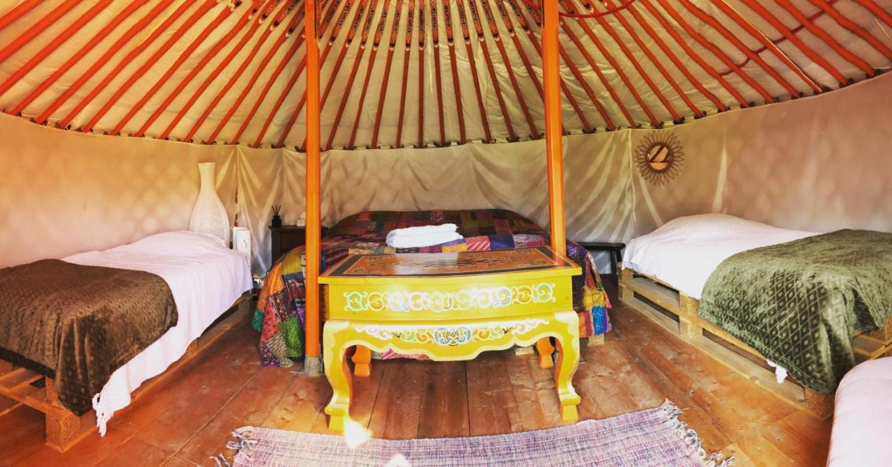 Les Colombines Bed and Breakfast Hombleux Buitenkant foto